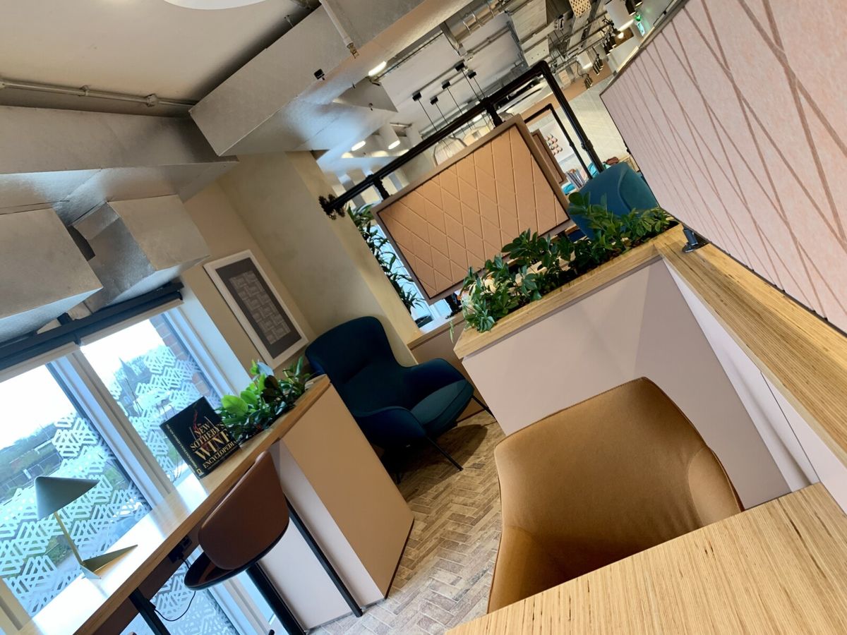 indoor plants displayed on the table
