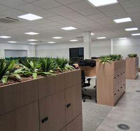 Modern wooden office lockers featuring built-in top planters filled with green plants in an open-plan office setting.