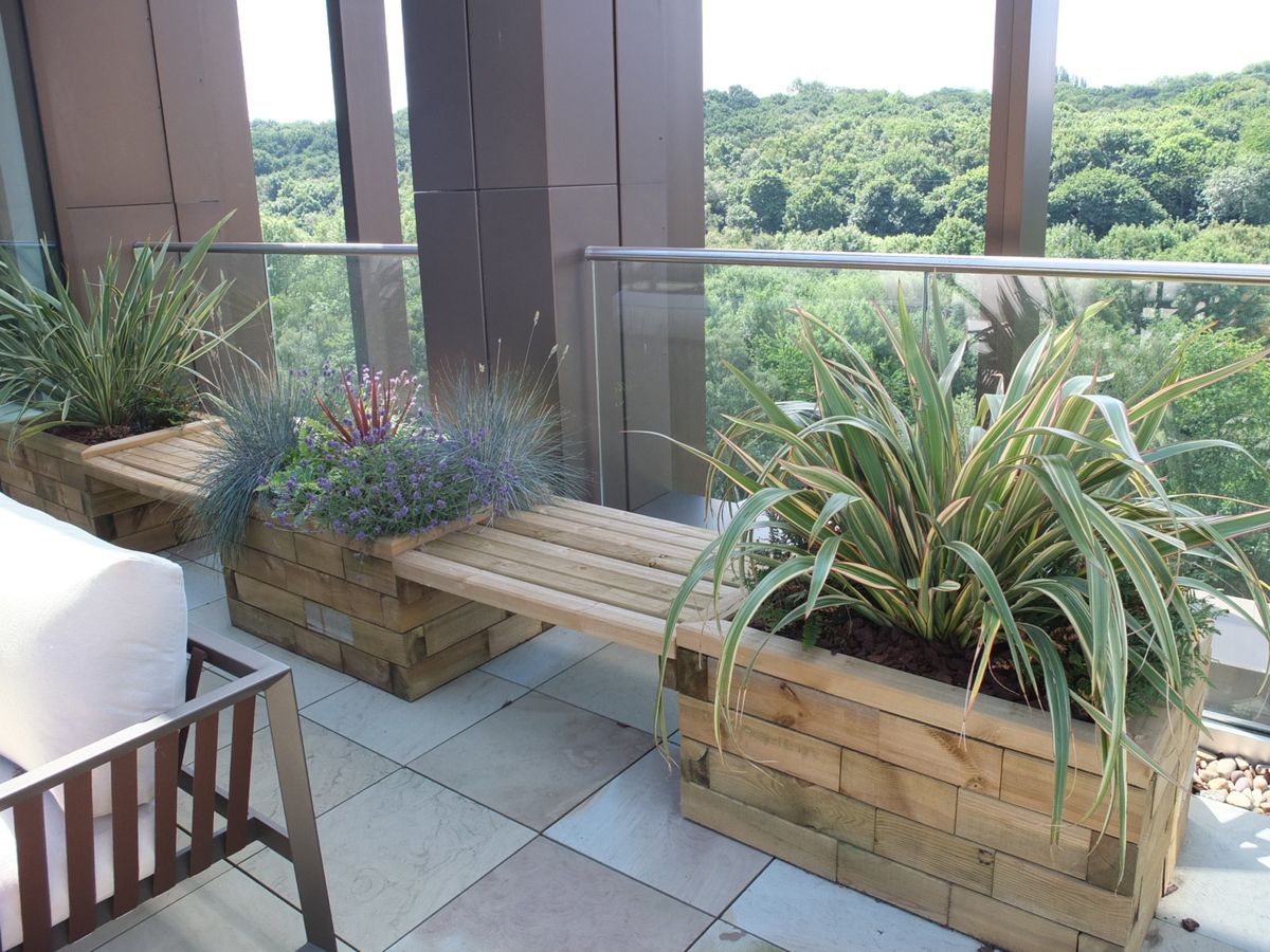 open area with plants and benches