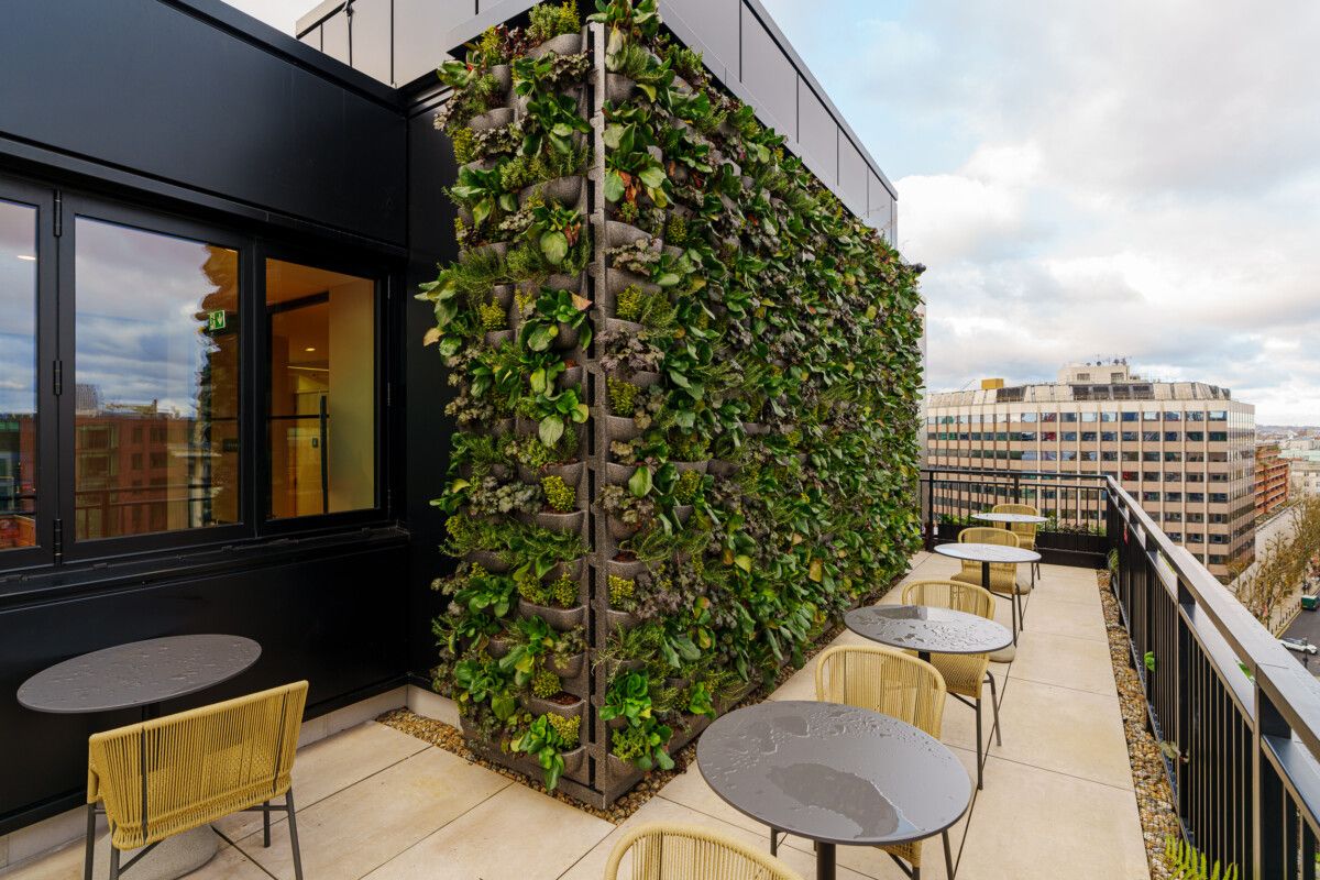 Exterior green wall