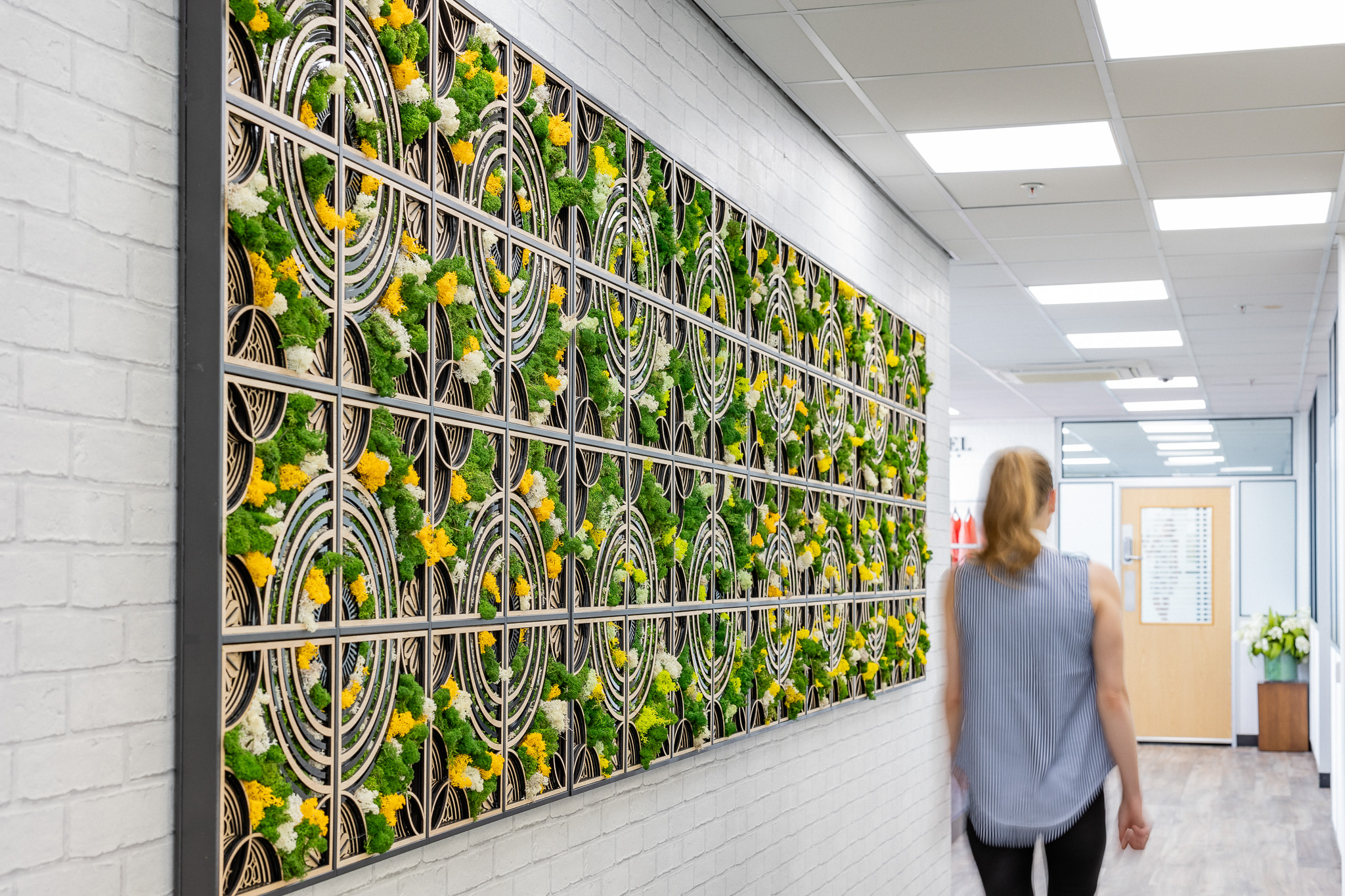 Urban Planters office plant installation
