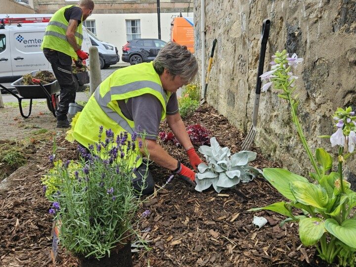 Planting plants
