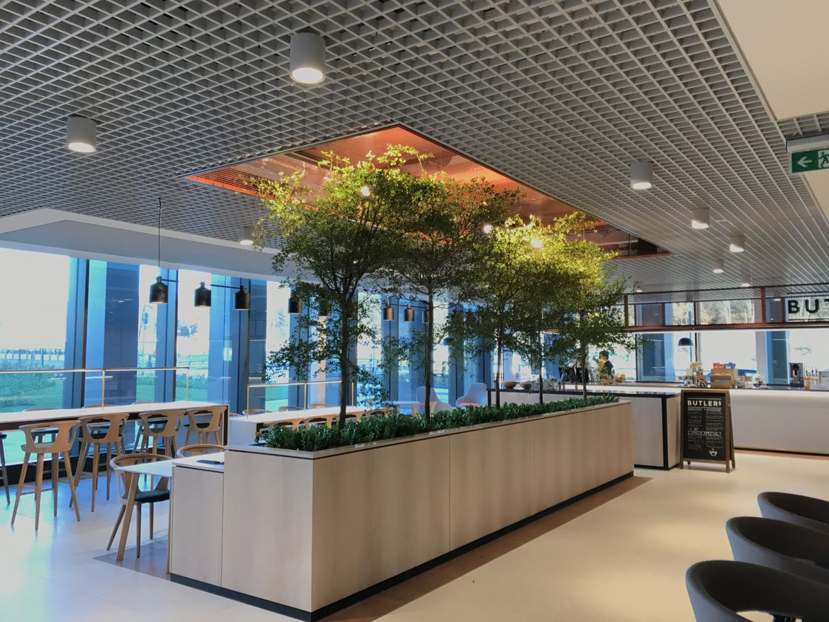 indoor plants displayed in wooden structures in open area 