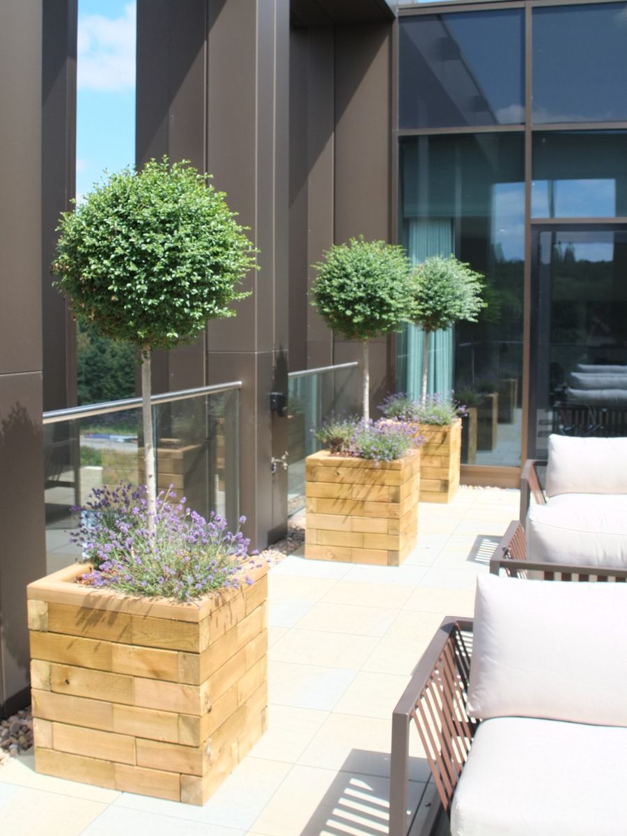 open area with plants and white chairs