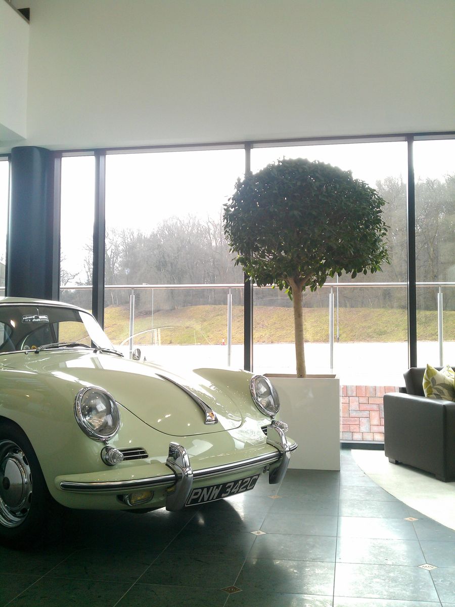 plant in a room with a vintage car