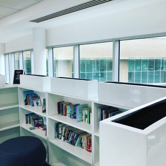 book shelves in a white room