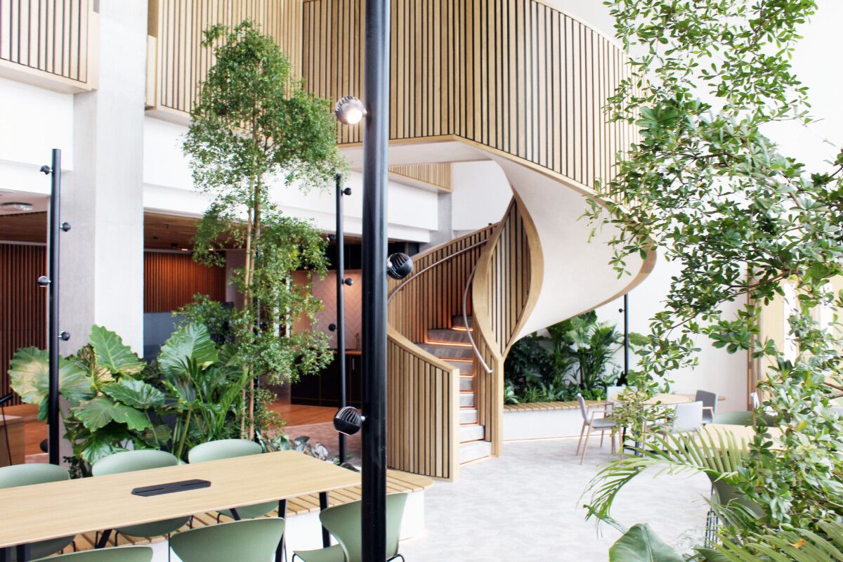 green plants displayed indoors