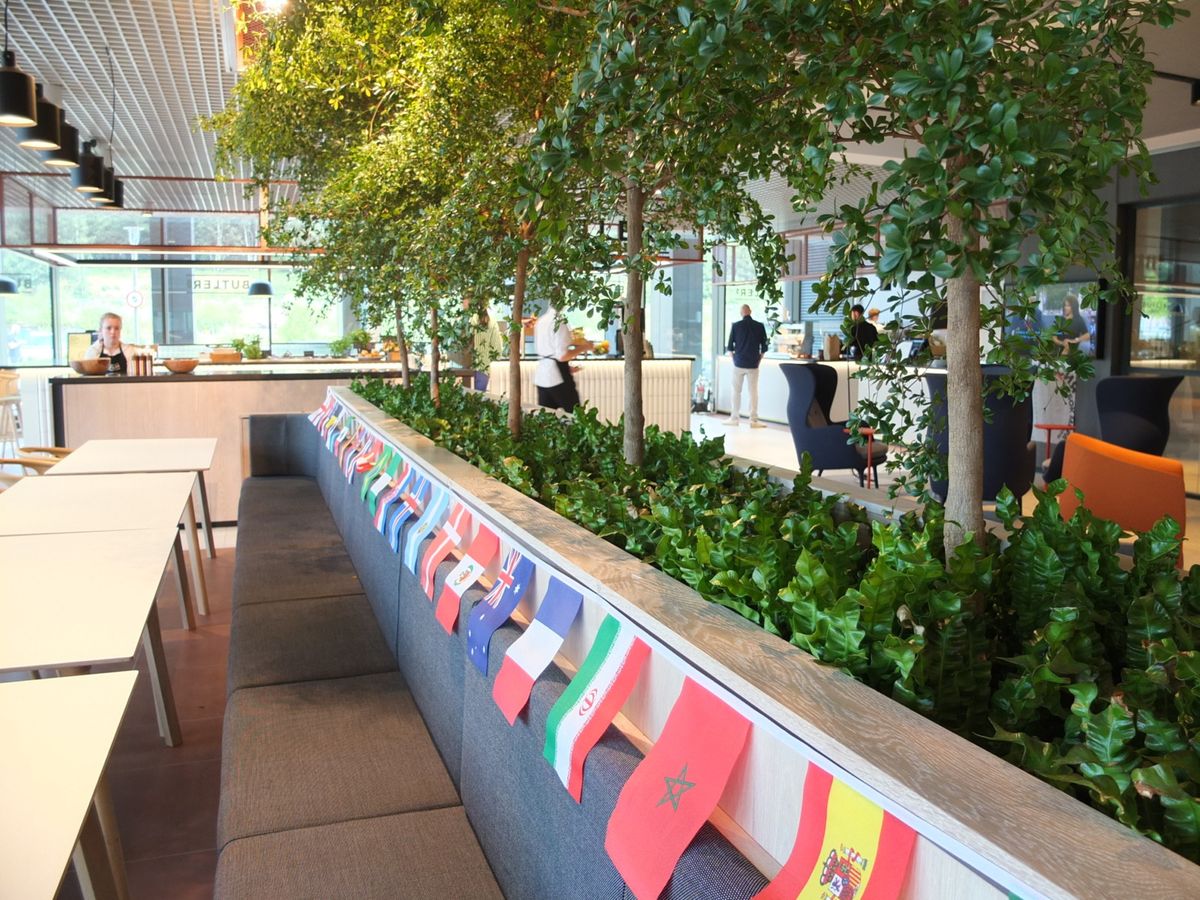 indoor plants displayed in wooden structures in open area 