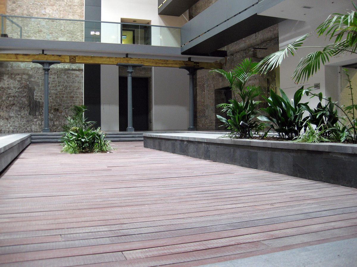 open area in a building with plants displayed