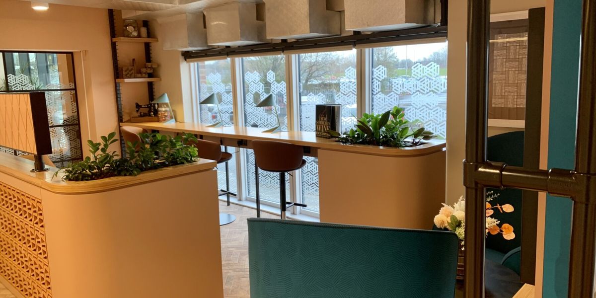 green indoor plants in the corner of the room