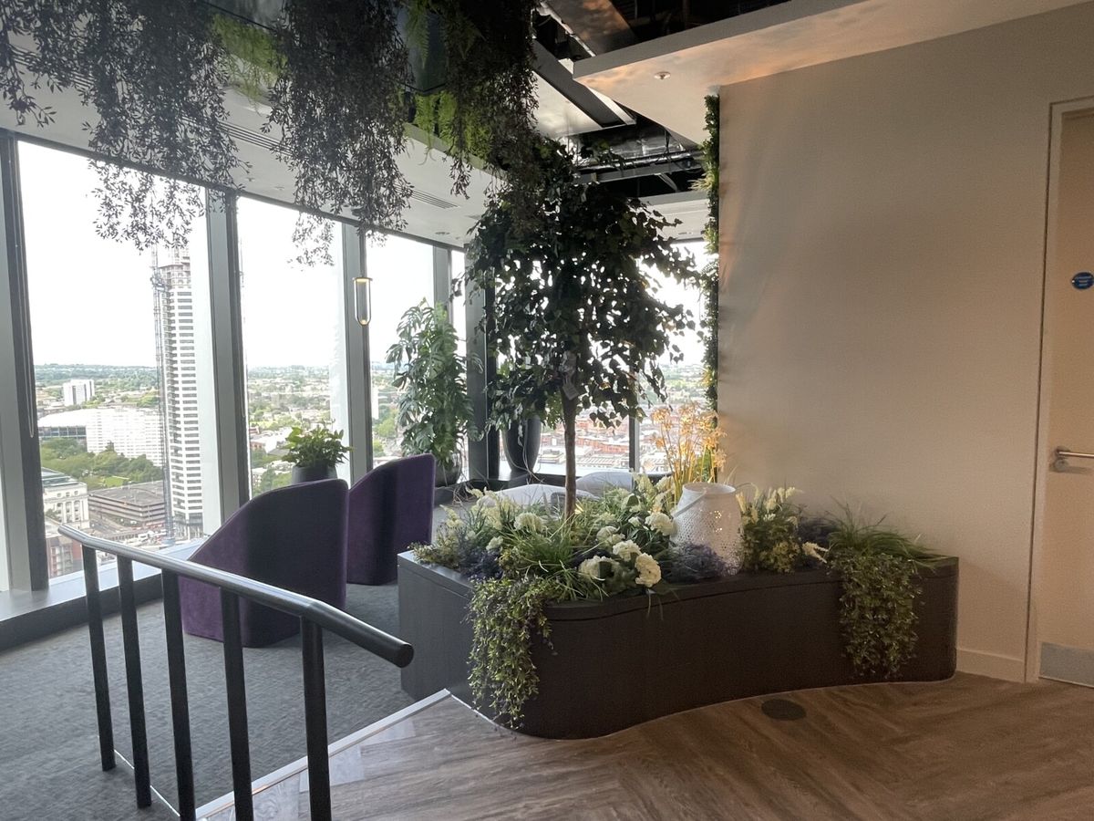 plants decorating the side of a flower bed inside of an office