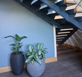 : Modern open-tread staircase with dark metal beams and wooden steps next to two potted plants against a blue wall.