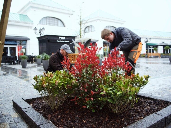 Grounds maintenance gallery 3