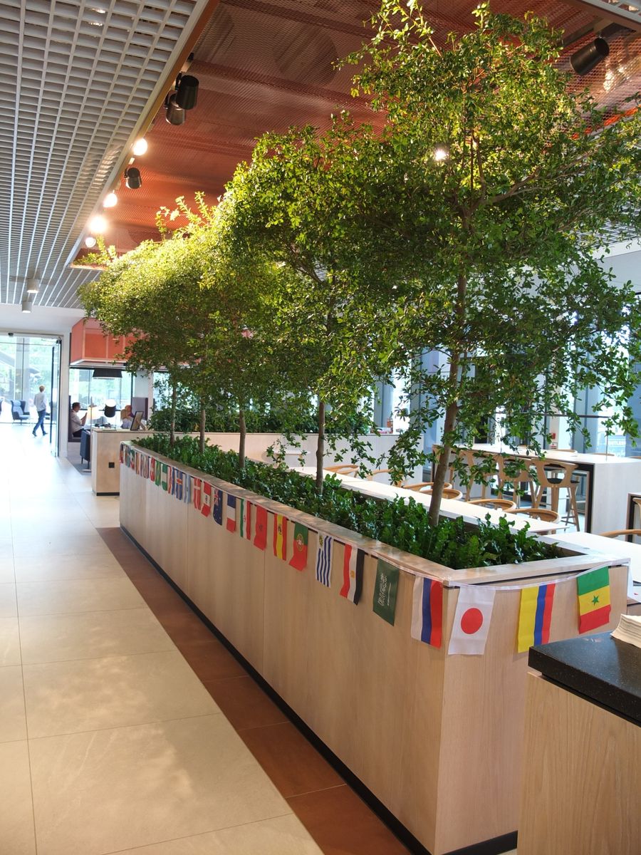 indoor plants displayed in wooden structures in open area 