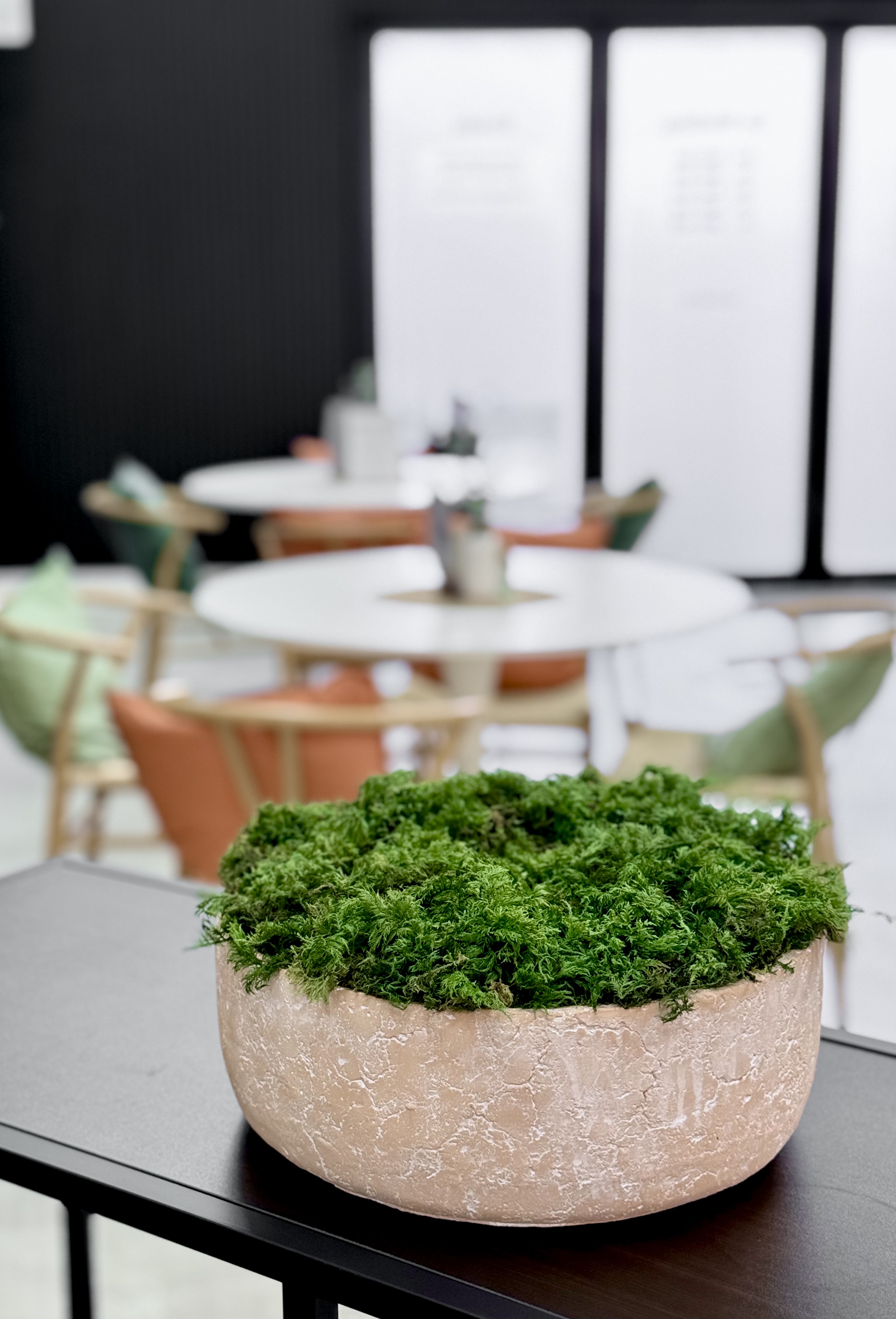 Moss Table by Urban Planters on a table in an eating area 