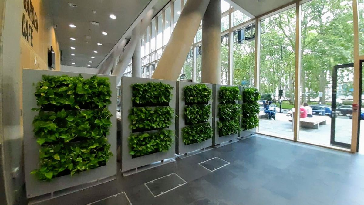 plant walls in garden cafe