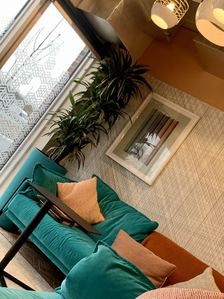 indoor plant in the corner of the room