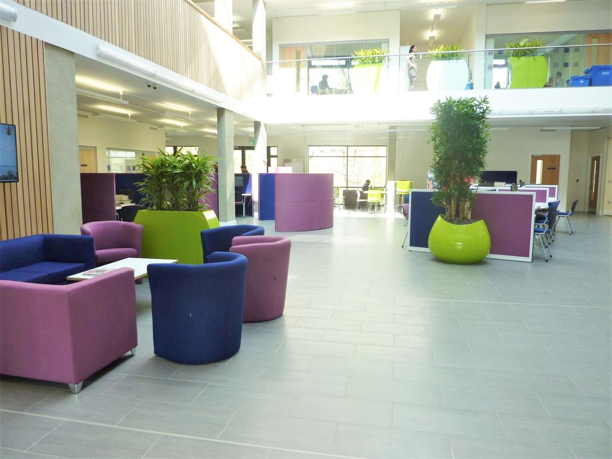 large plants in a formal area