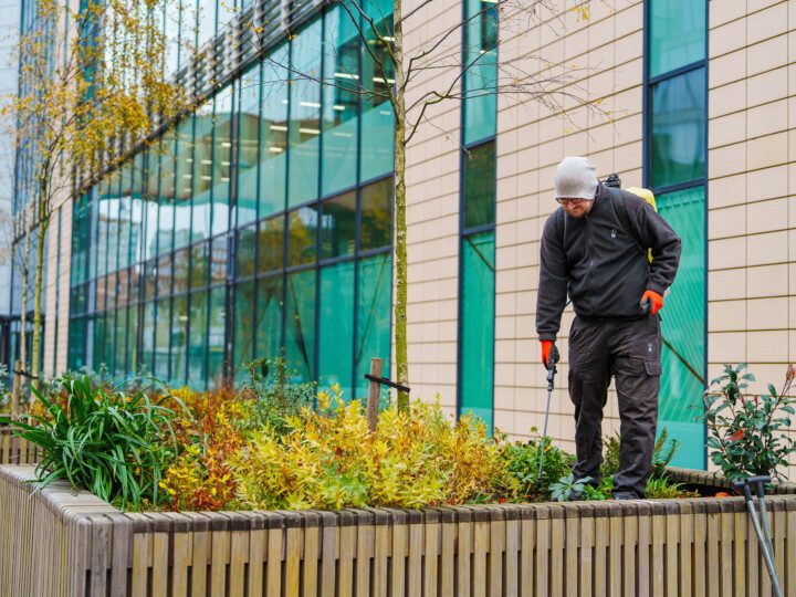 Grounds maintenance gallery 1