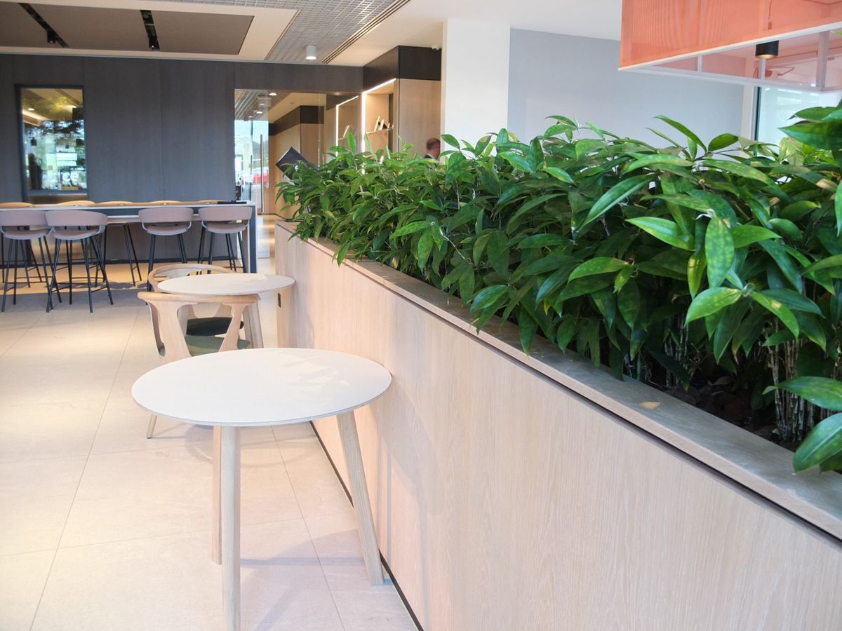 plants displayed in a wooden structure in a room