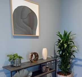 A dark metal console table with decorative sculptures and books, paired with a tall potted Dracaena plant against blue wainscoted walls.