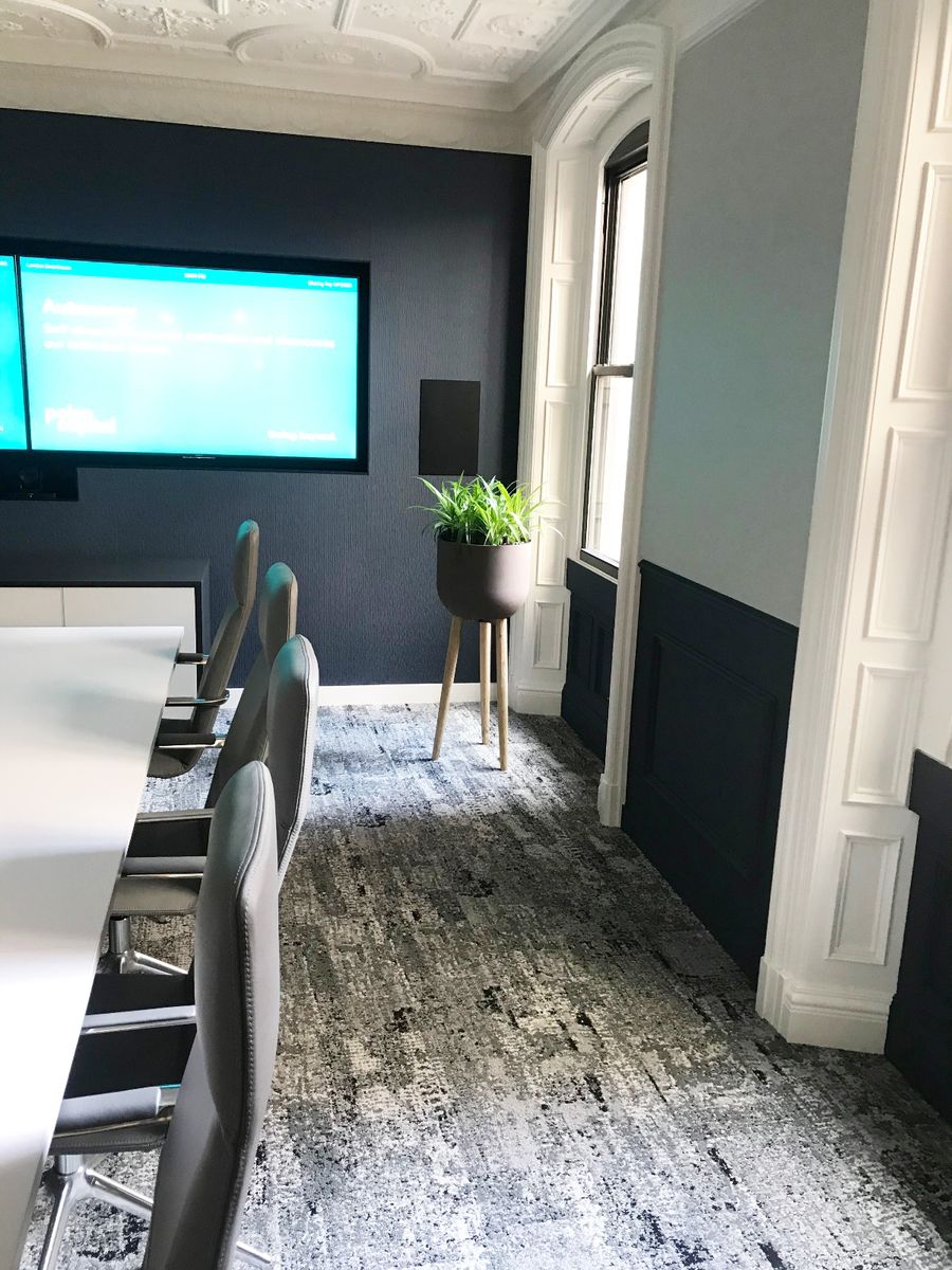 comference room with indoor plant in the corner of the room