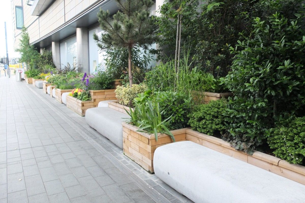 landscaping by walking area