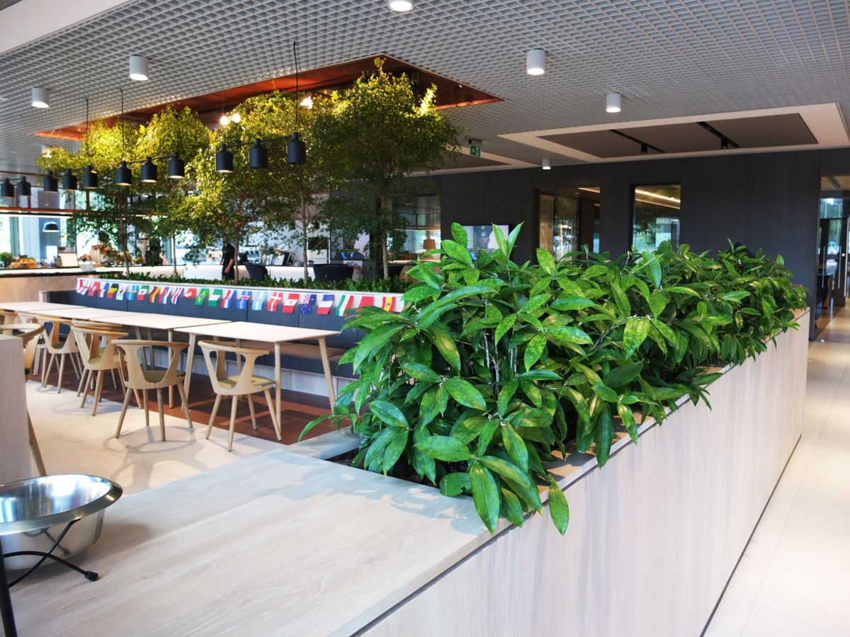 indoor plants displayed around sitting area