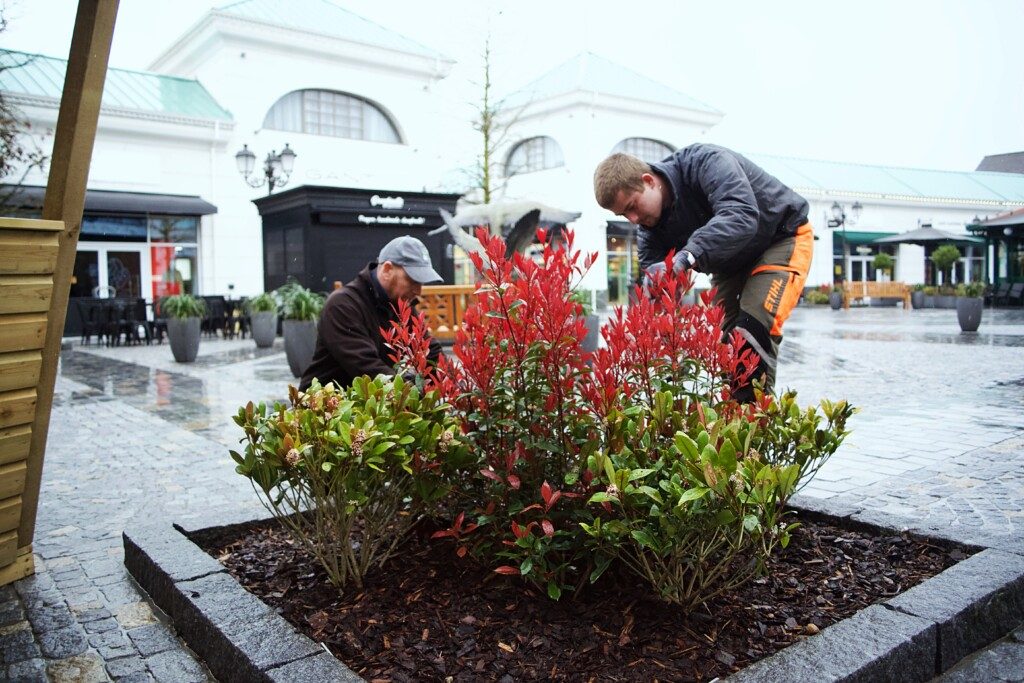 Commercial grounds maintenance services