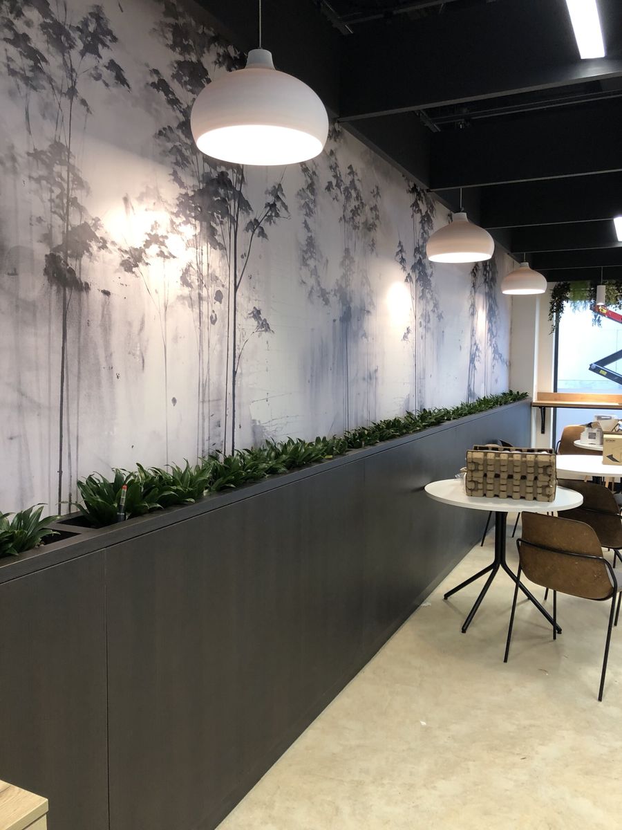 Plants running down the side of a wall