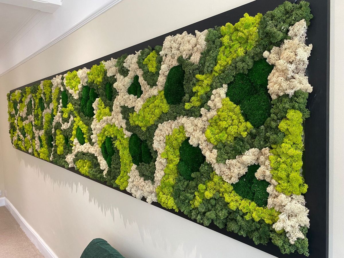 Moss art on a wall