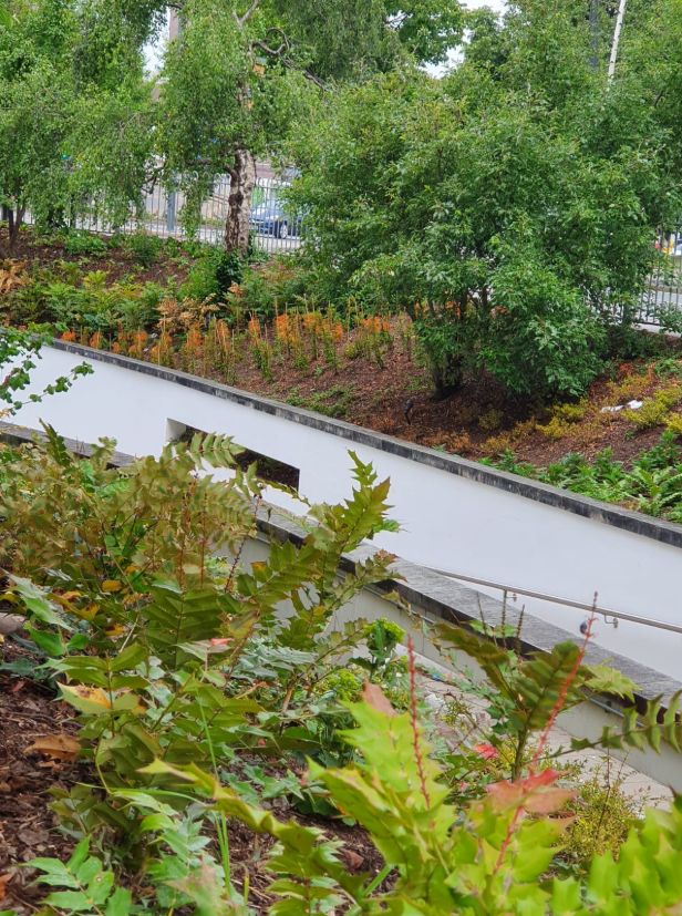 close up of a garden