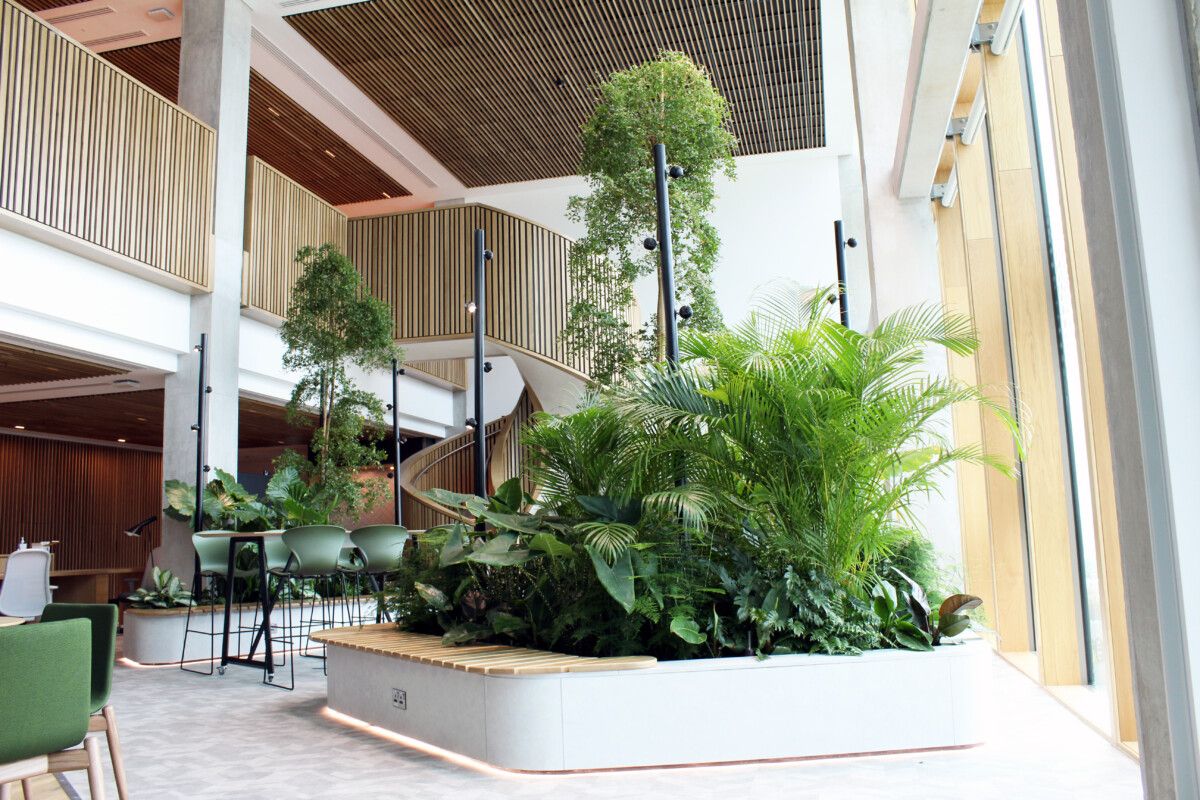 forest of plants indoors