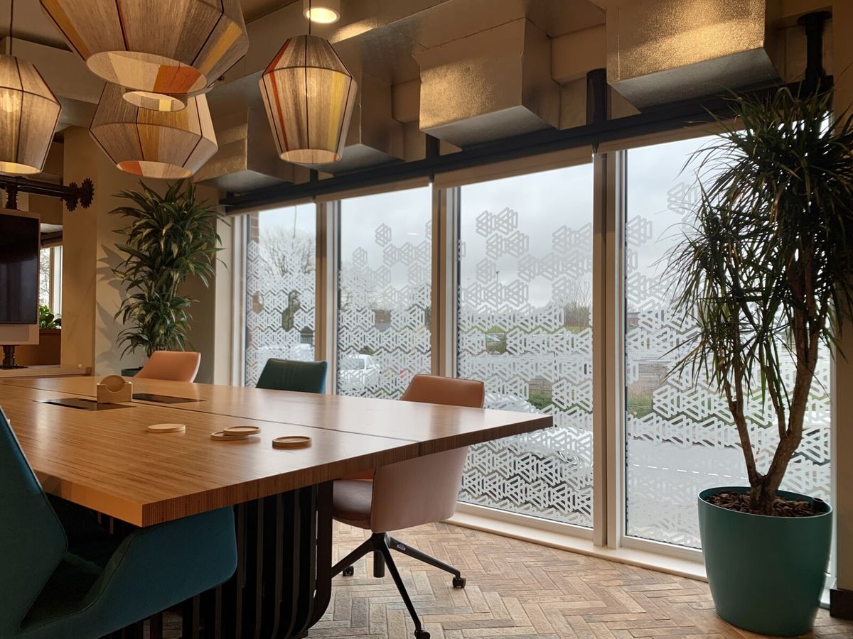 indoor plant in the corner of the room