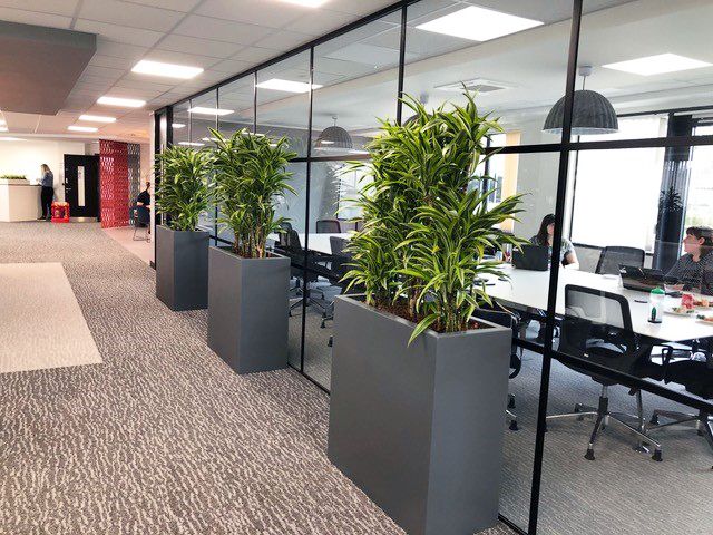 indoor plants displayed outside conference room
