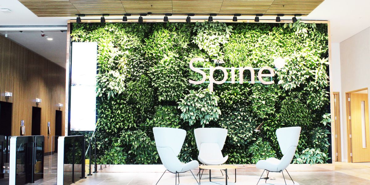 plant wall in a sitting area