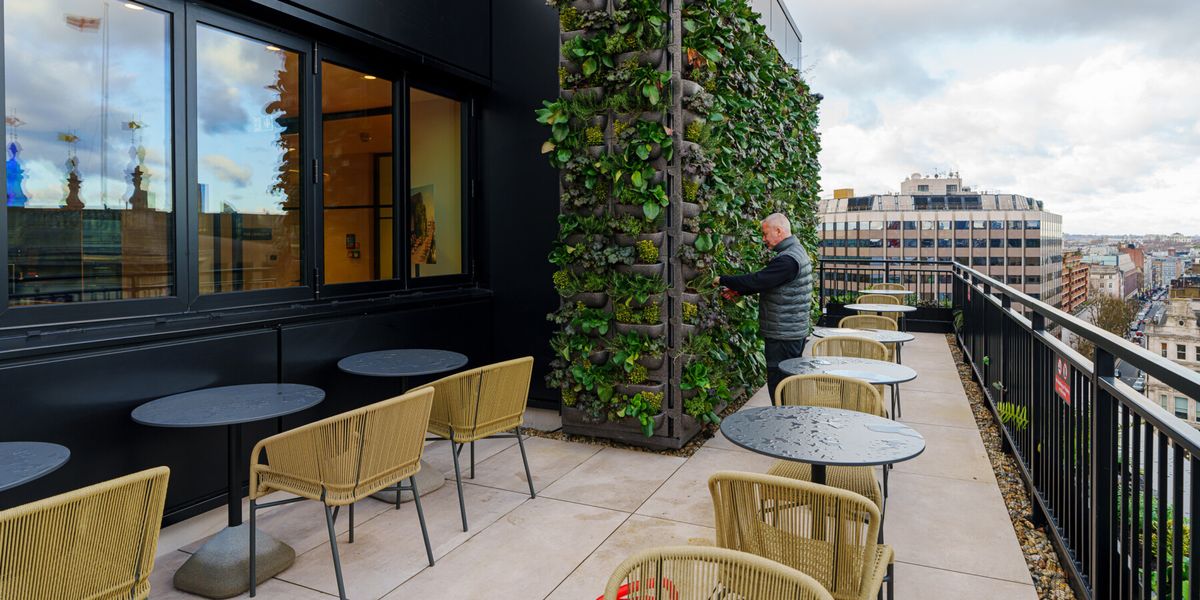 Exterior green walls outside of a office building
