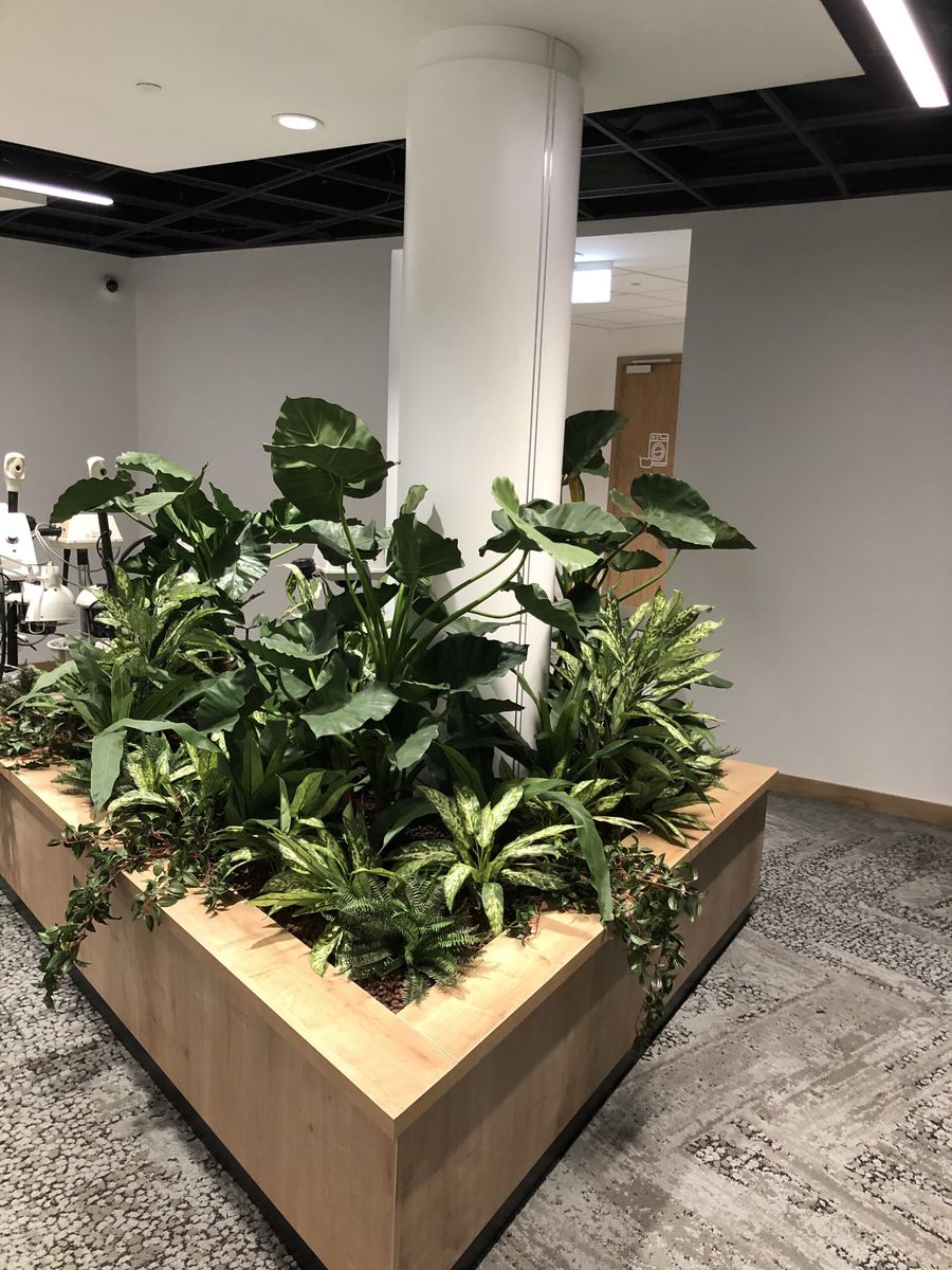 office plants sitting in a wooden box