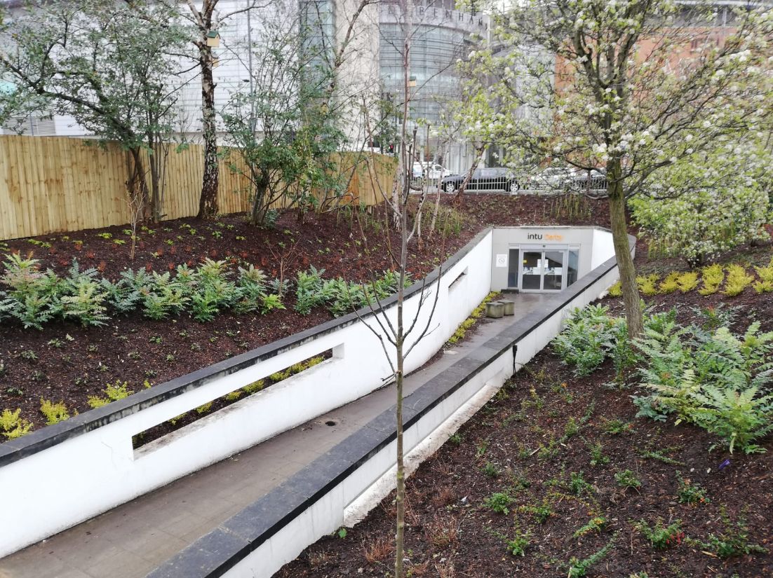 garden after being maintained