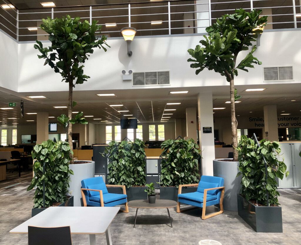 plant walls in office space