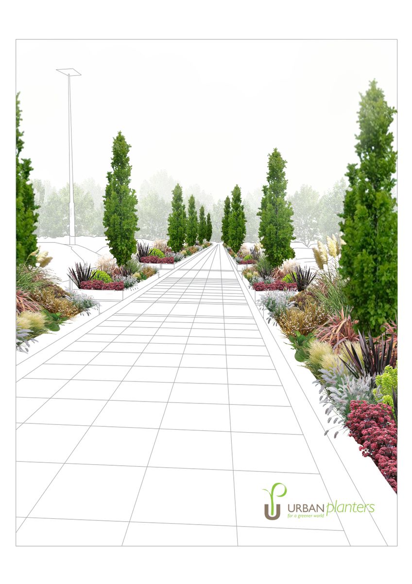 plan of landscaping in a parking lot
