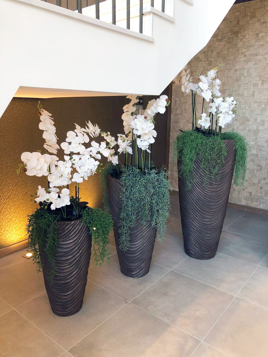 large indoor plants underneath stairs