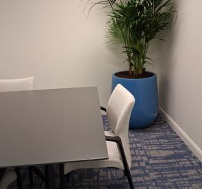 A tall green palm plant in a bright blue pot set in the corner of a meeting room next to a grey conference table and light grey chairs.