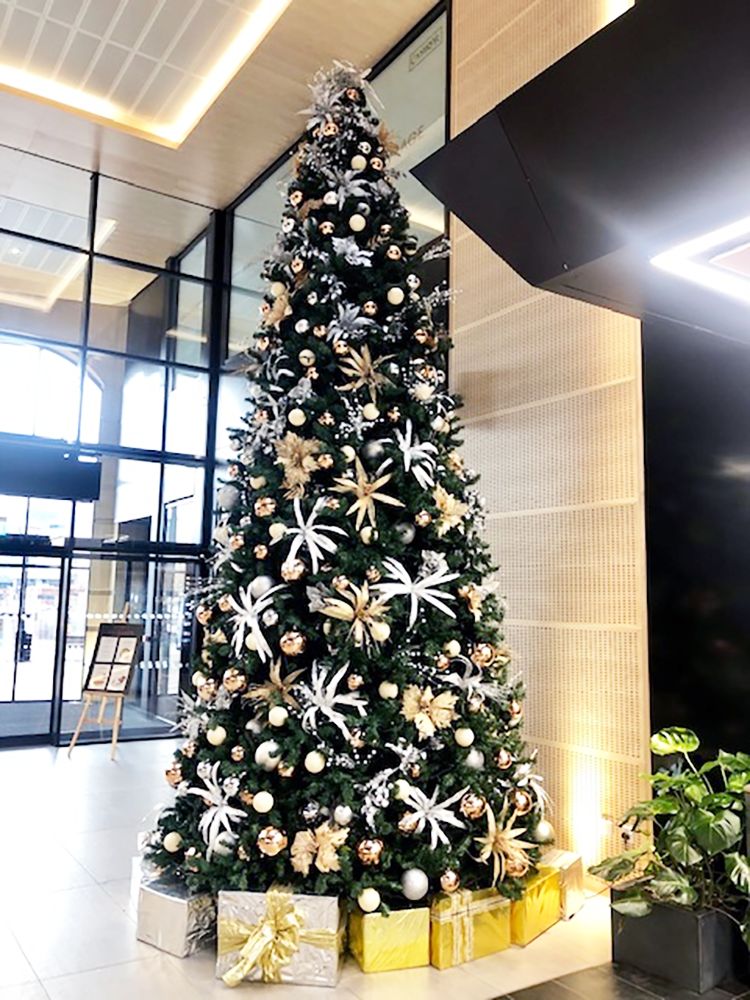 christmas tree in a tall building