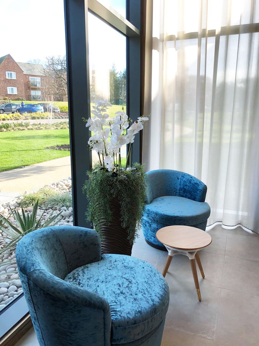 blue couches with indoor plant in between by the glass