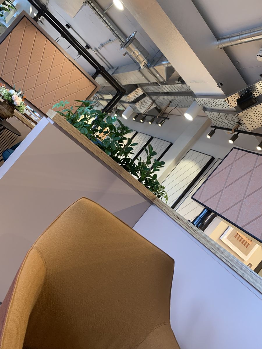 indoor plants on table
