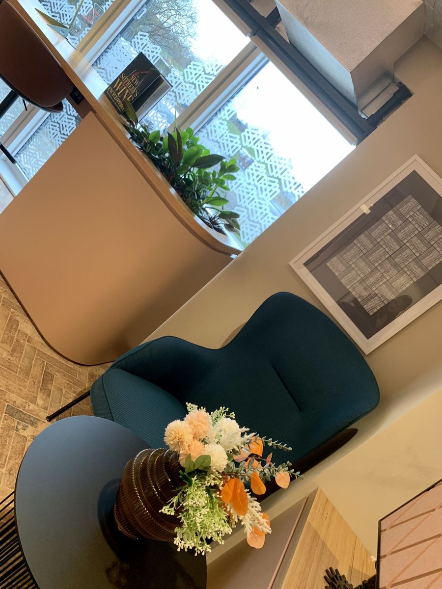 indoor plant displayed in the corner of the room