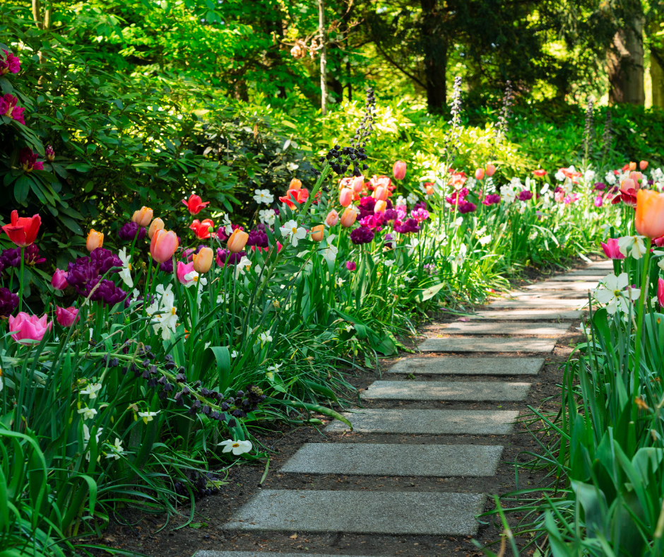 Spring Blooms