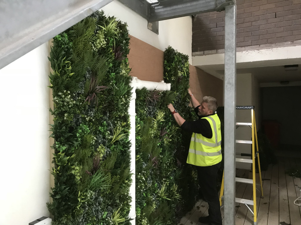 plant walls being installed