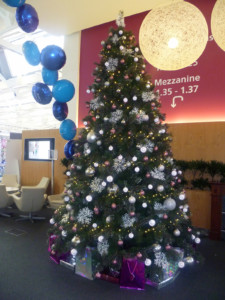 christmas trees by office 